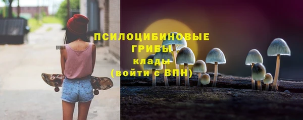 гидропоника Магас