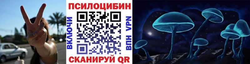 Псилоцибиновые грибы прущие грибы  Звенигово 